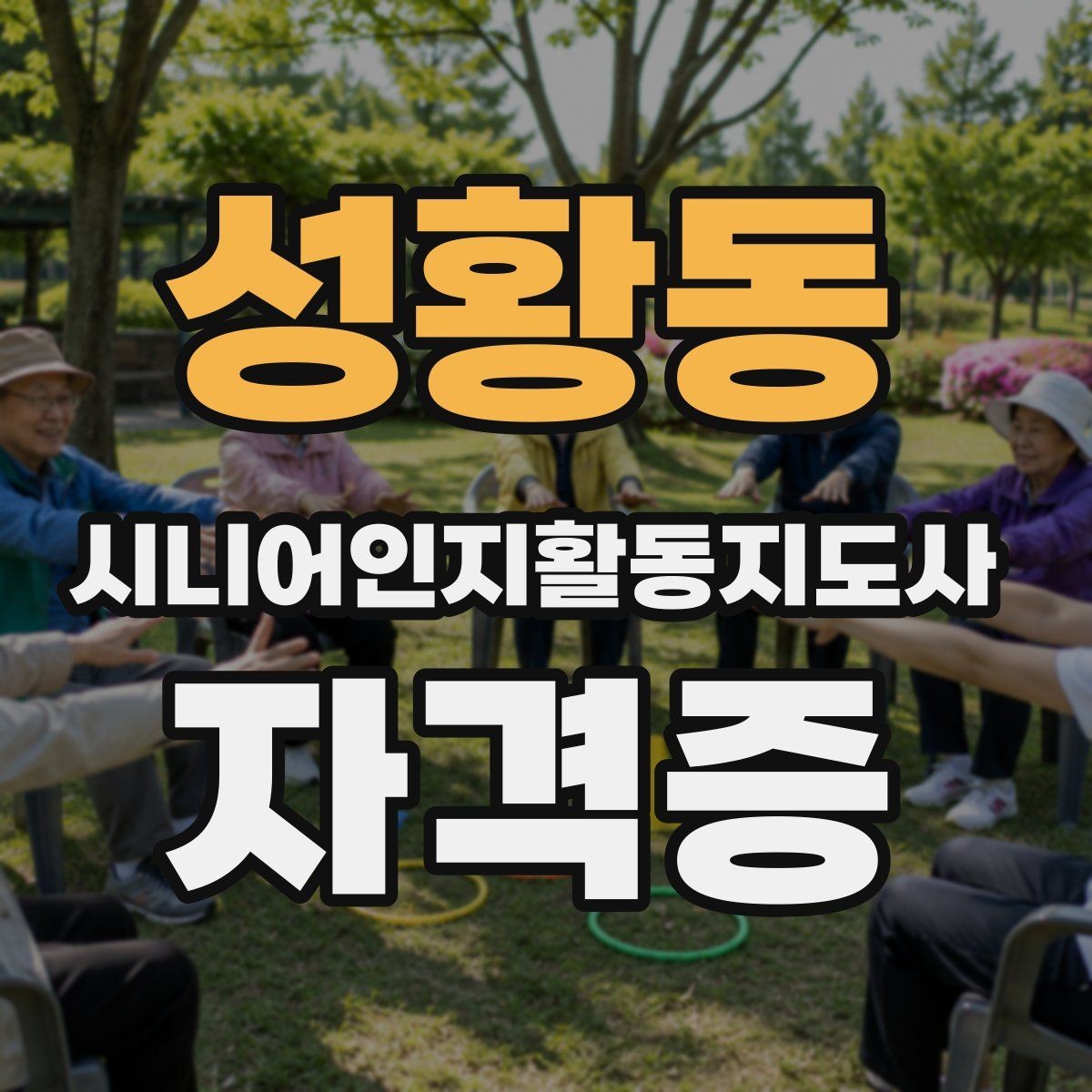 성황동 시니어인지활동지도사 자격증 관련 분야별 활용 사례
