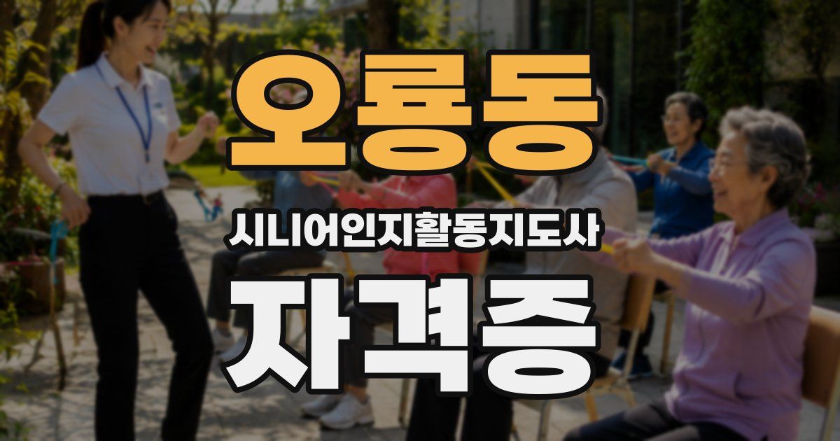오룡동 시니어인지활동지도사 자격증