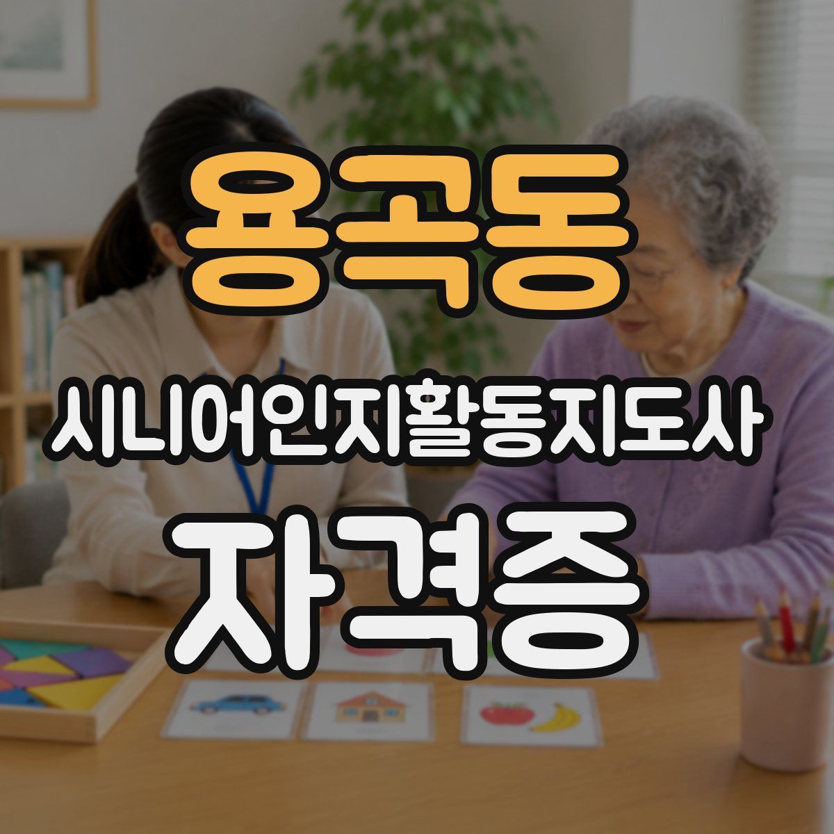 용곡동 시니어인지활동지도사 자격증