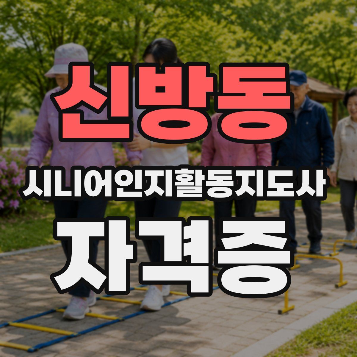 신방동 시니어인지활동지도사 자격증