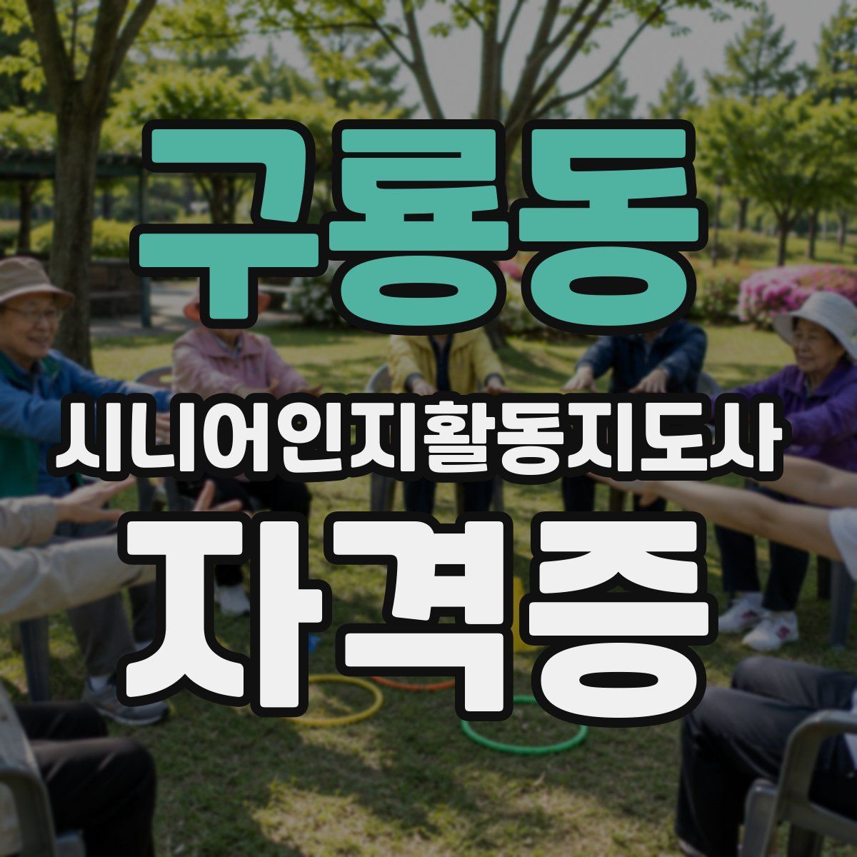 구룡동 시니어인지활동지도사 자격증
