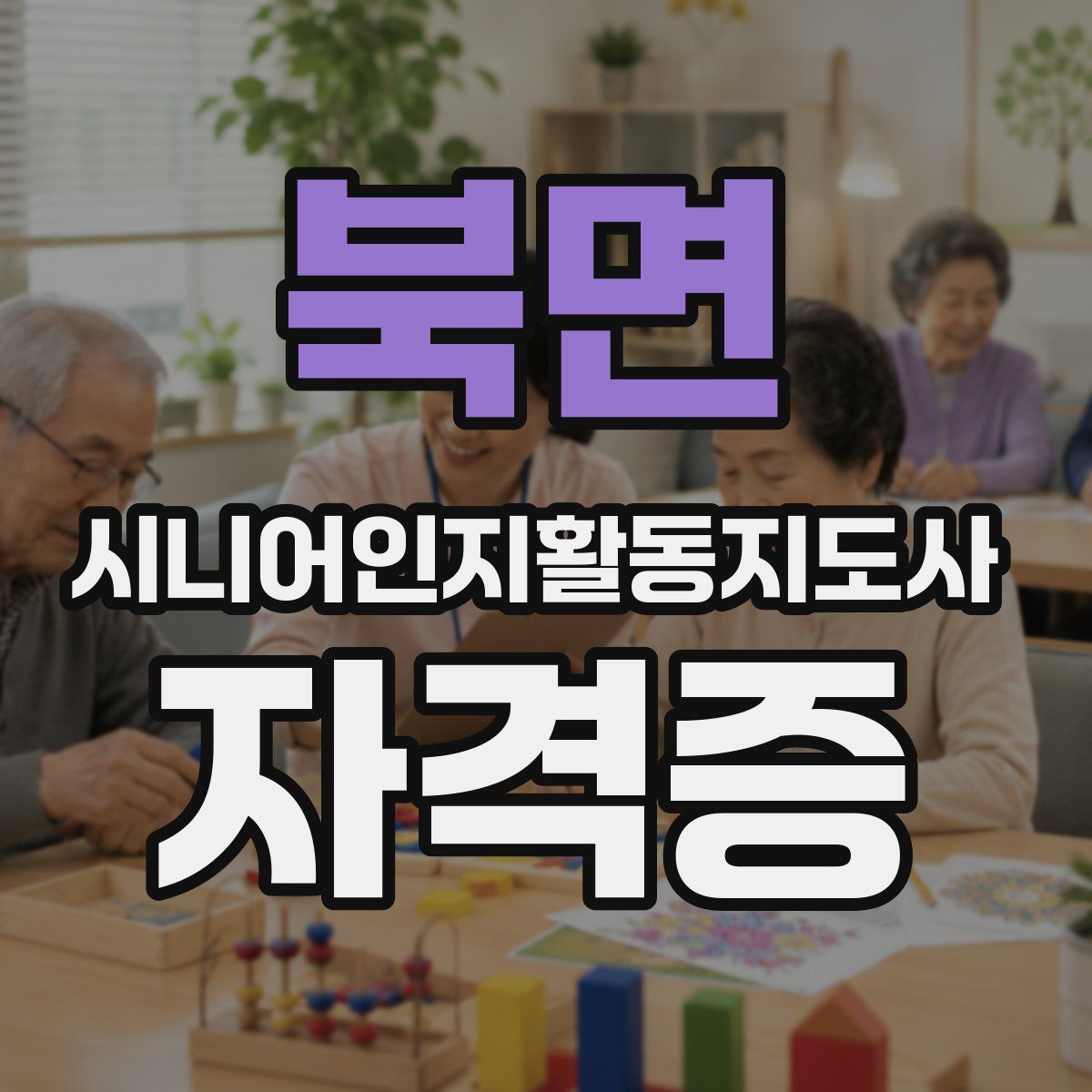 북면 시니어인지활동지도사 자격증