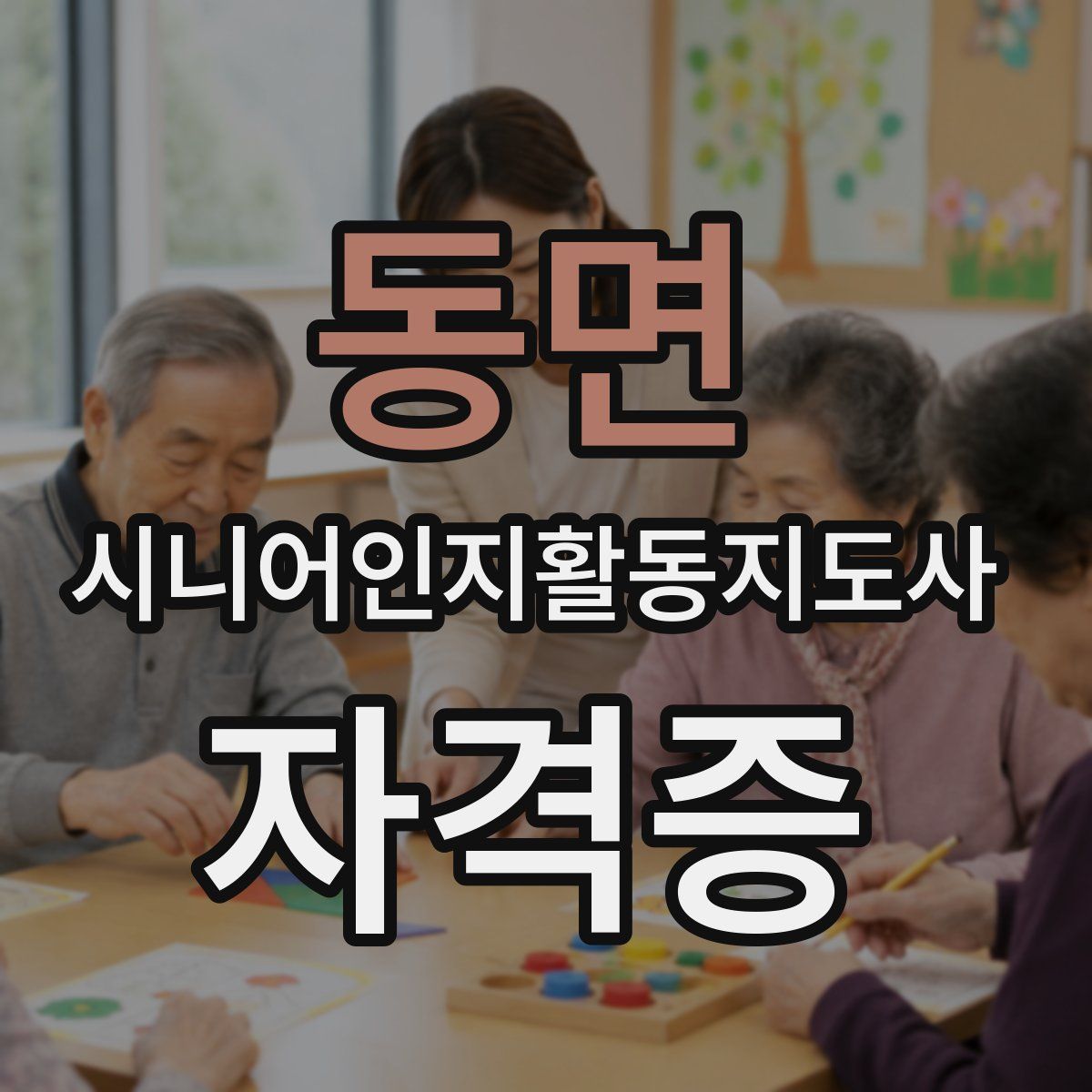 동면 시니어인지활동지도사 자격증