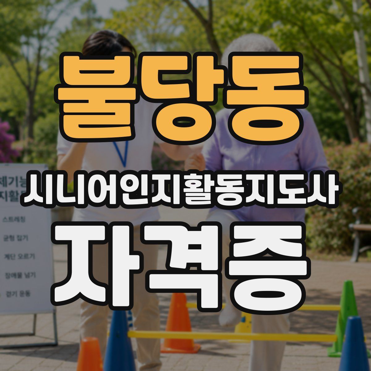 불당동 시니어인지활동지도사 자격증