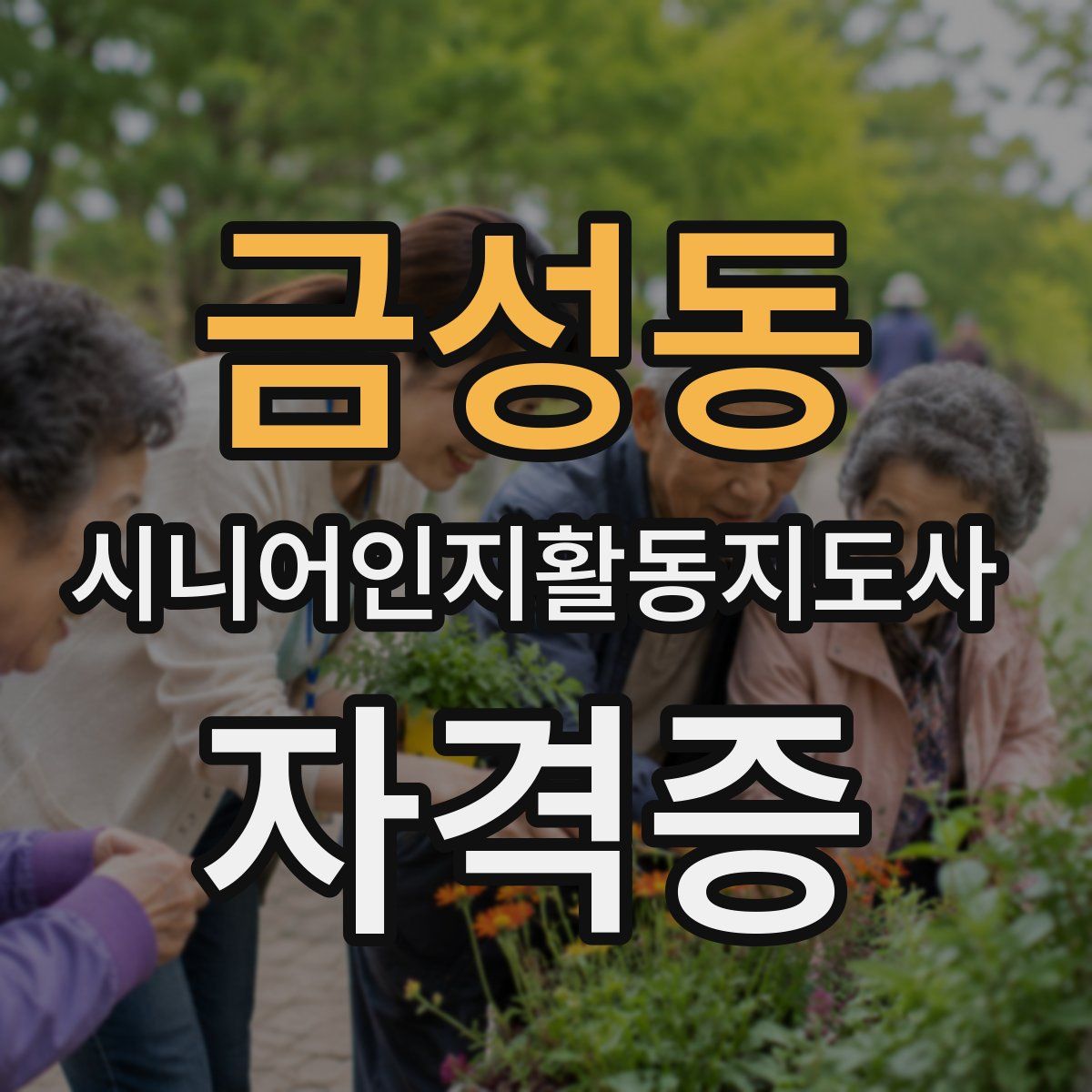 금성동 시니어인지활동지도사 자격증