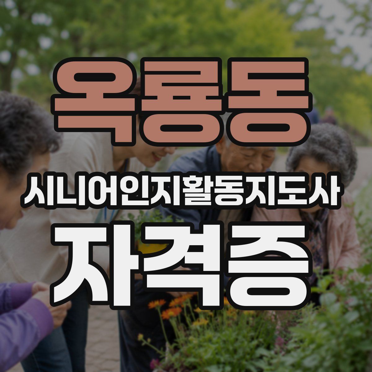 옥룡동 시니어인지활동지도사 자격증