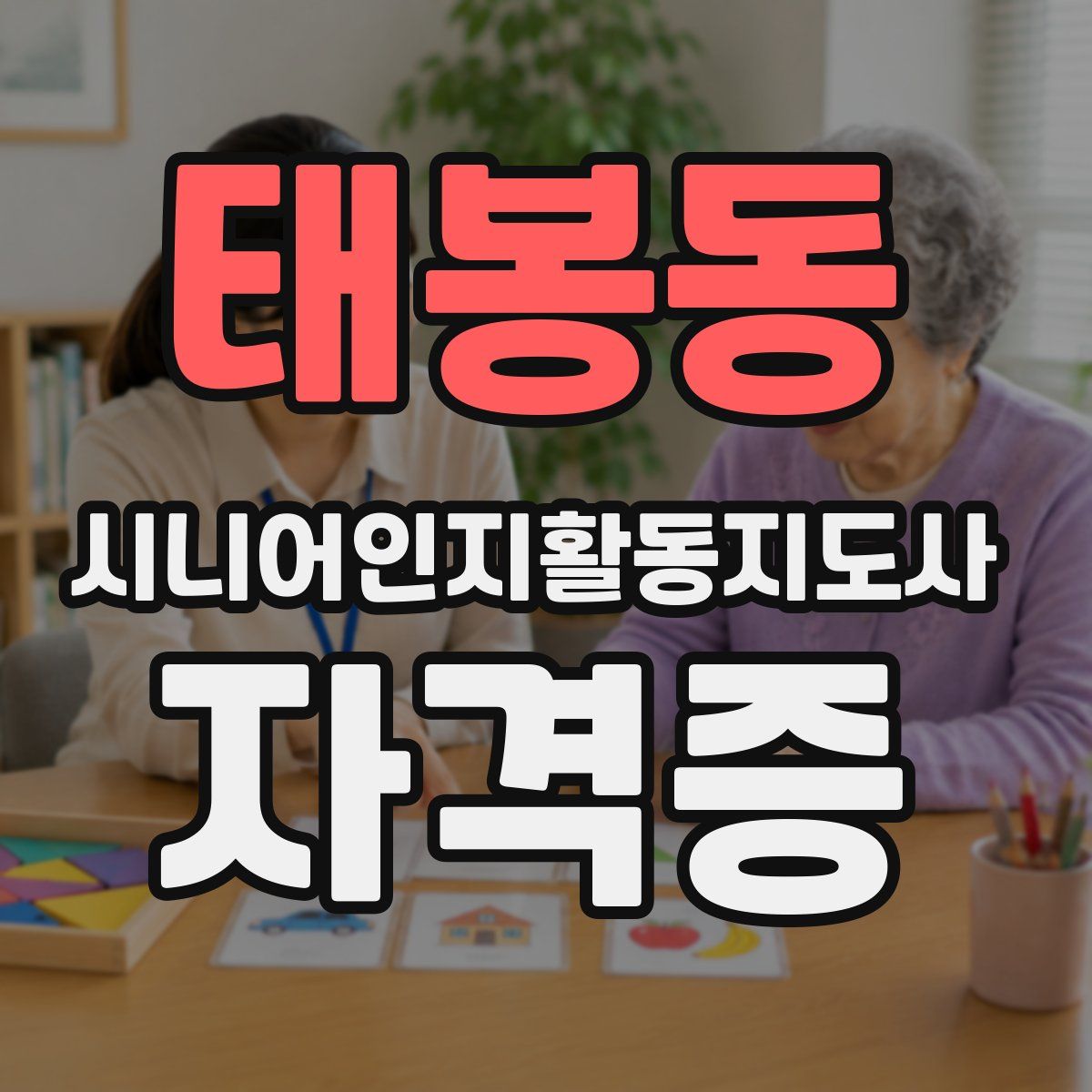 태봉동 시니어인지활동지도사 자격증