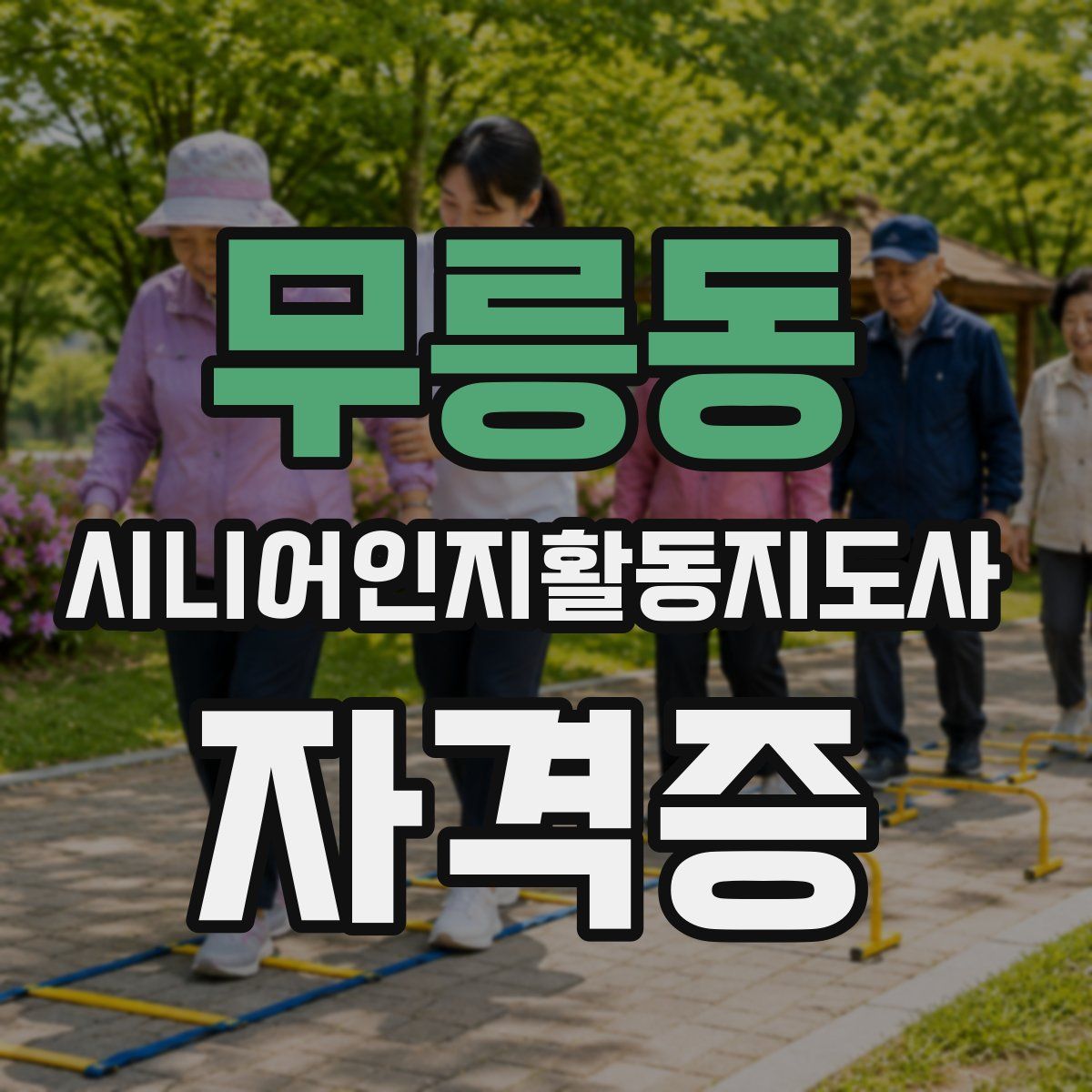 무릉동 시니어인지활동지도사 자격증
