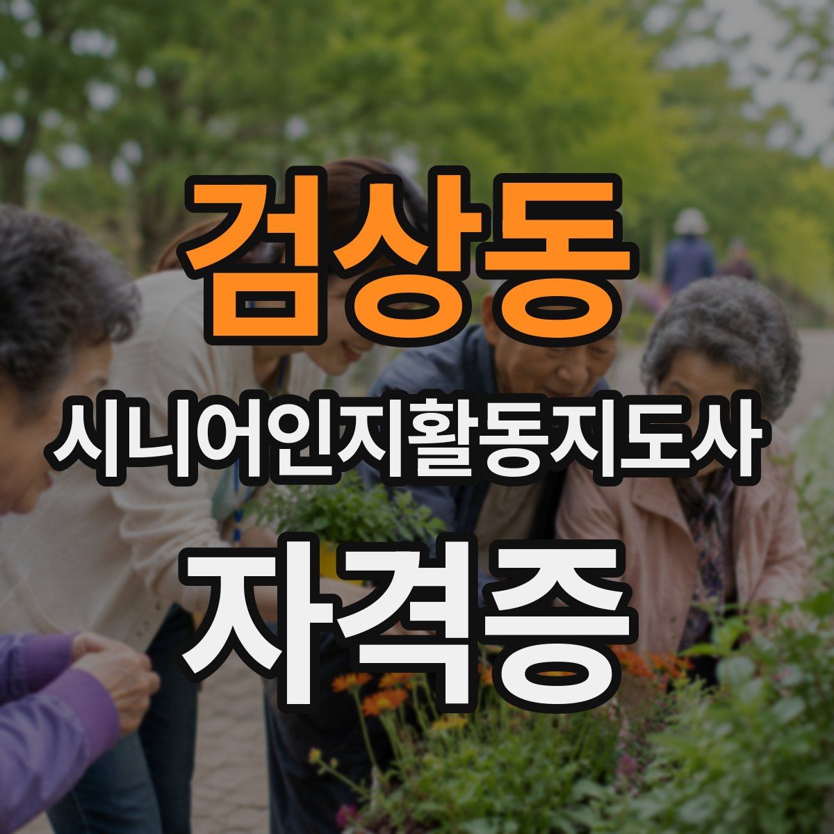 검상동 시니어인지활동지도사 자격증