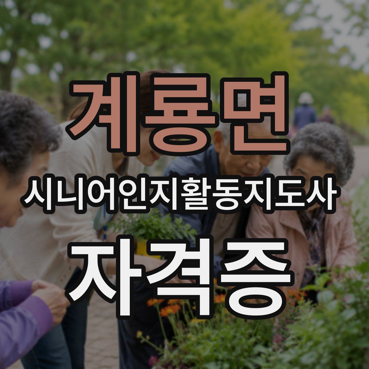 계룡면 시니어인지활동지도사 자격증