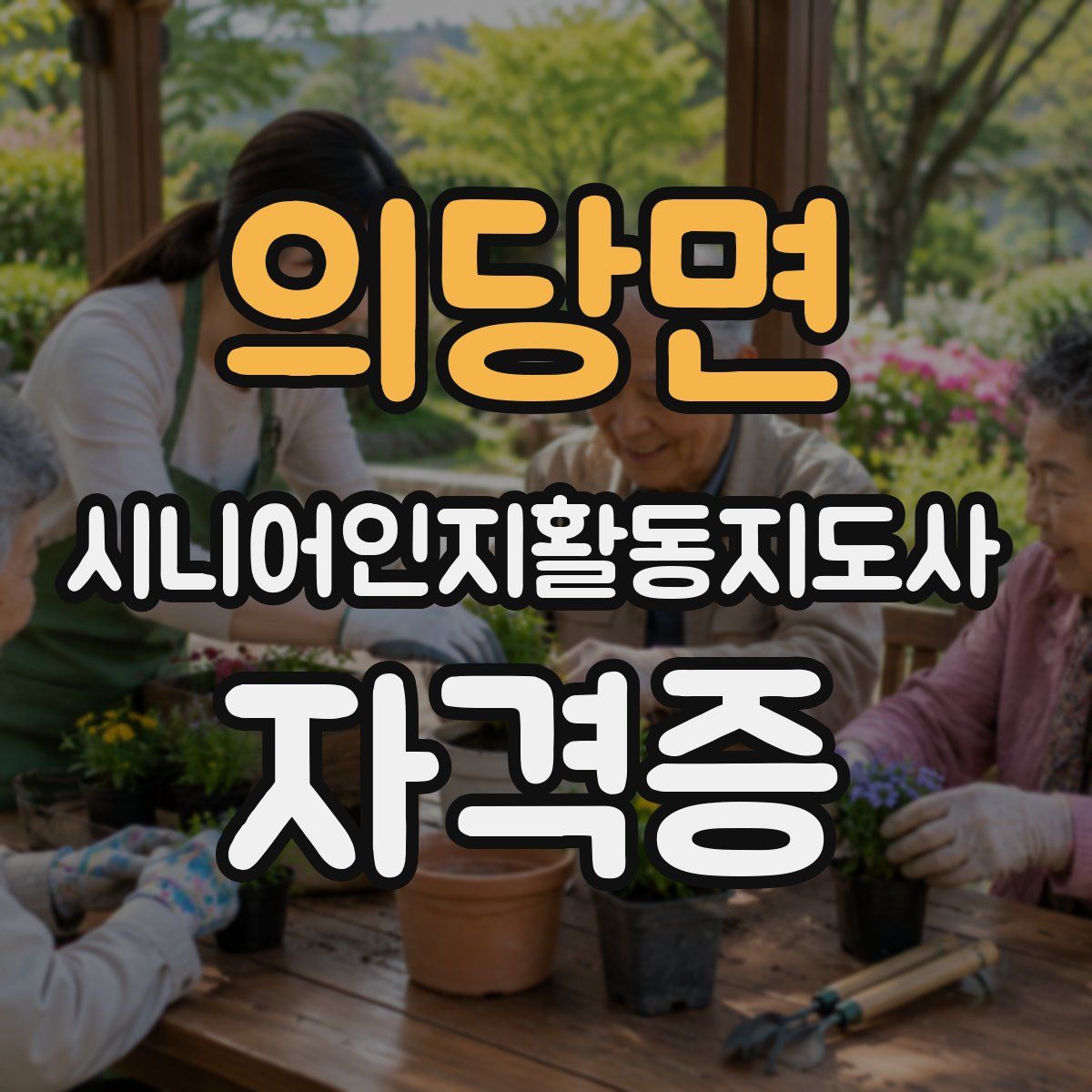 의당면 시니어인지활동지도사 자격증