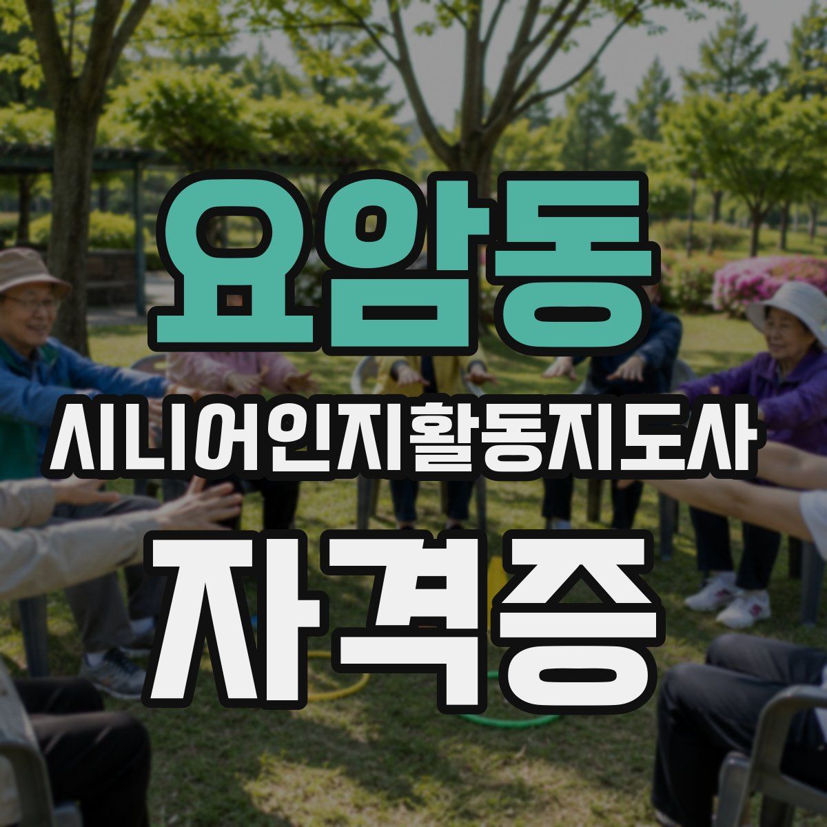 요암동 시니어인지활동지도사 자격증