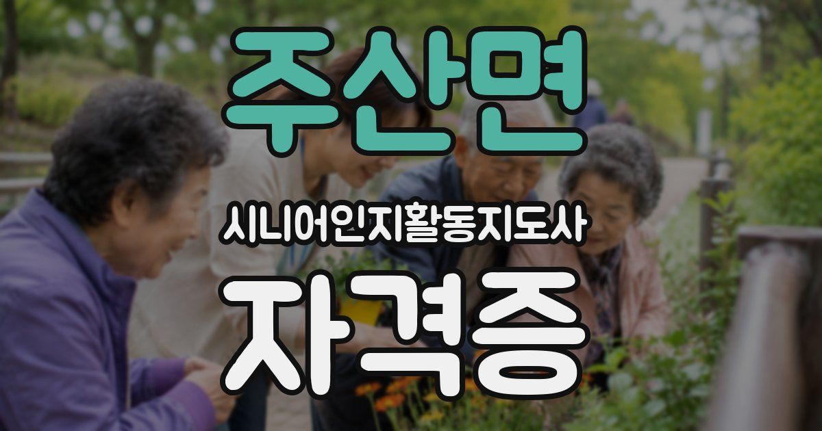 주산면 시니어인지활동지도사 자격증