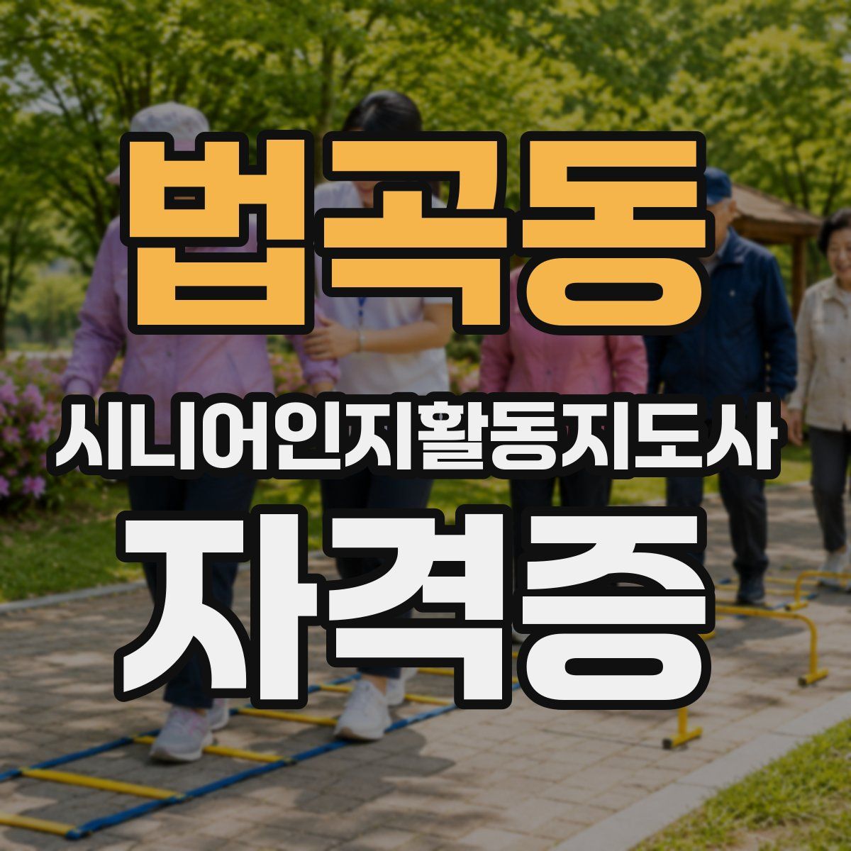 법곡동 시니어인지활동지도사 자격증