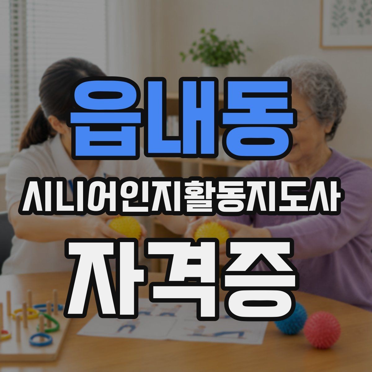 읍내동 시니어인지활동지도사 자격증 공부 순서와 핵심 과목