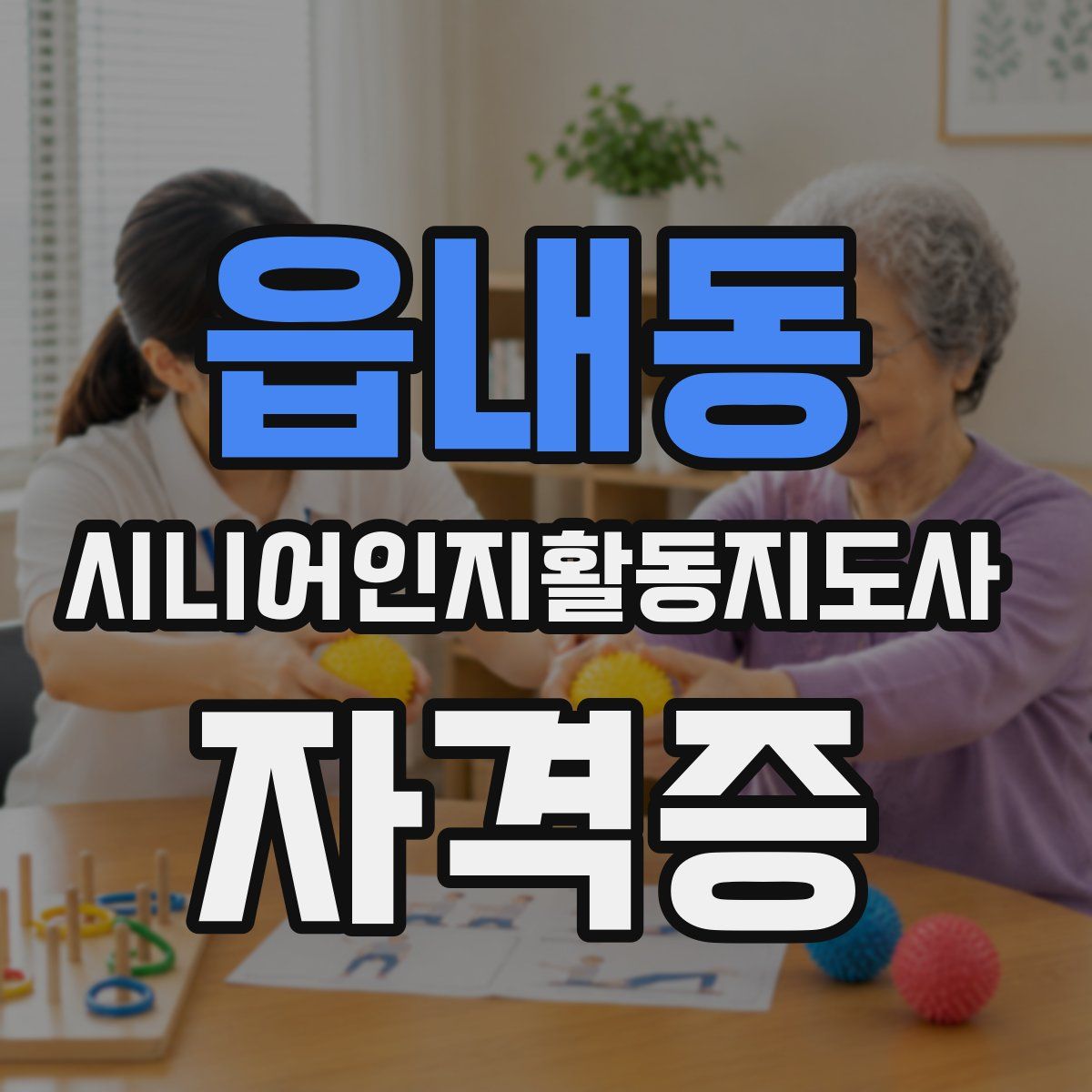 읍내동 시니어인지활동지도사 자격증