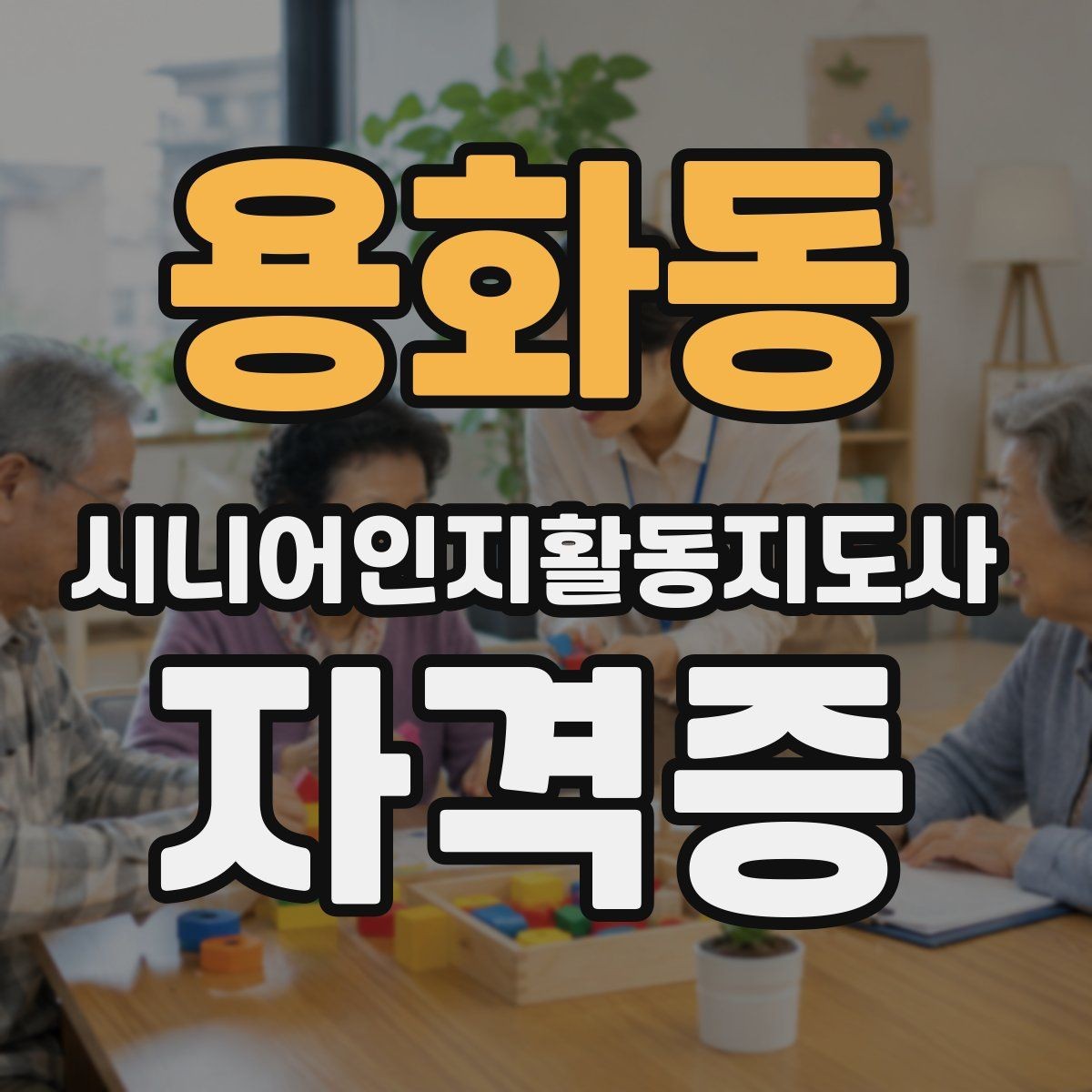 용화동 시니어인지활동지도사 자격증 취업과 연결되는 준비 방법