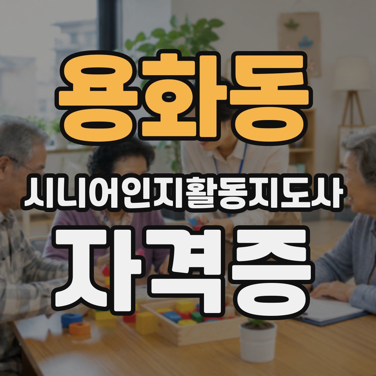 용화동 시니어인지활동지도사 자격증