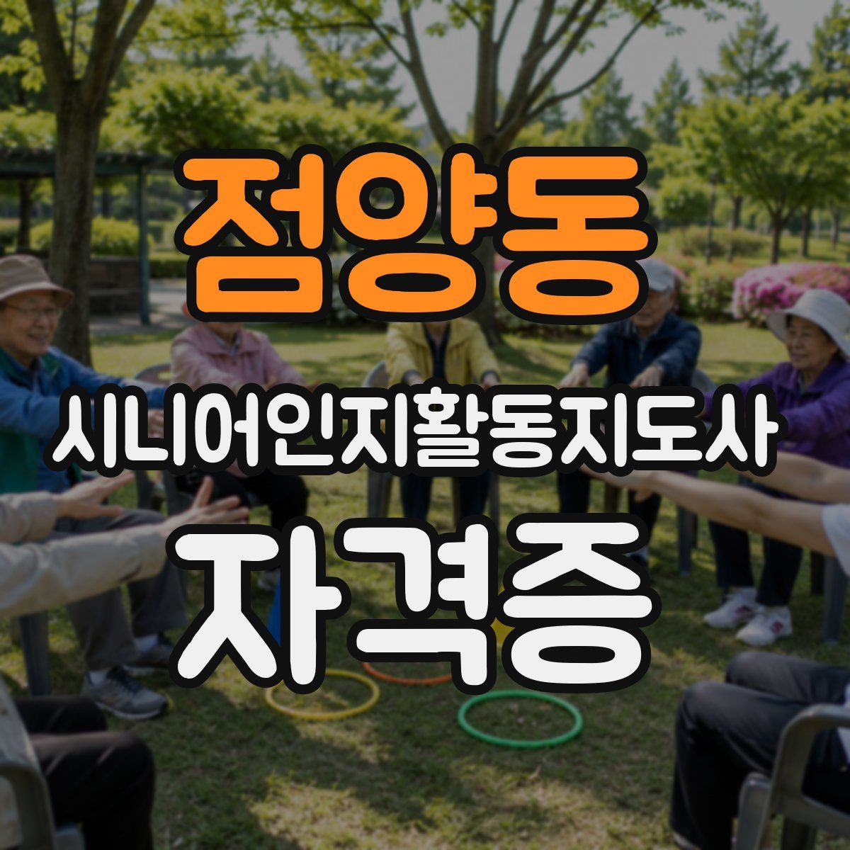 점양동 시니어인지활동지도사 자격증