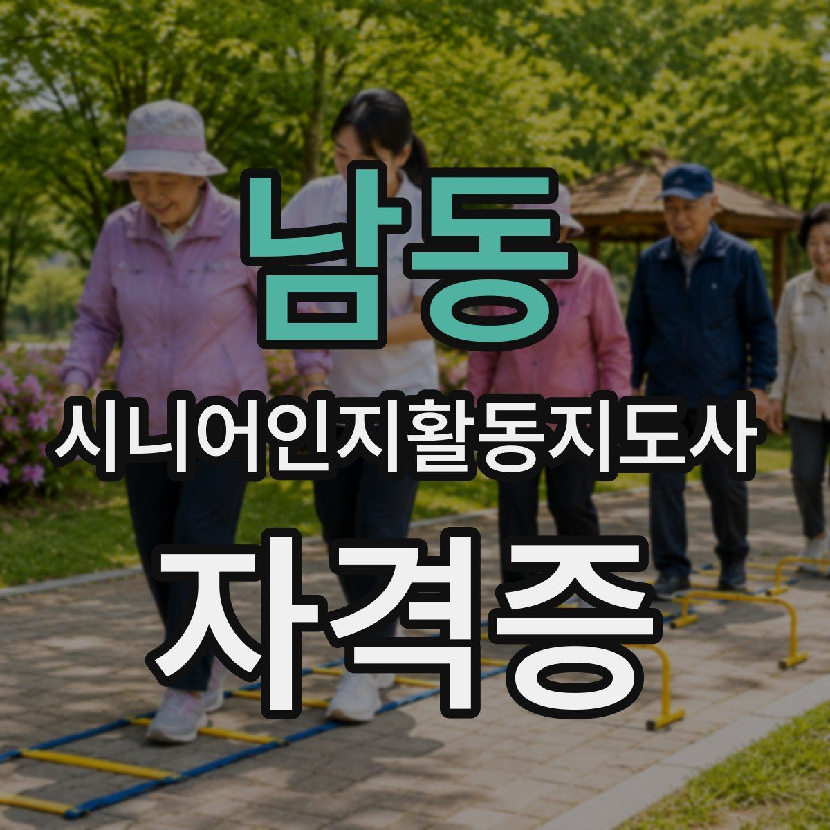 남동 시니어인지활동지도사 자격증