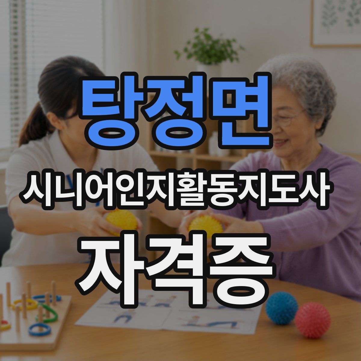 탕정면 시니어인지활동지도사 자격증