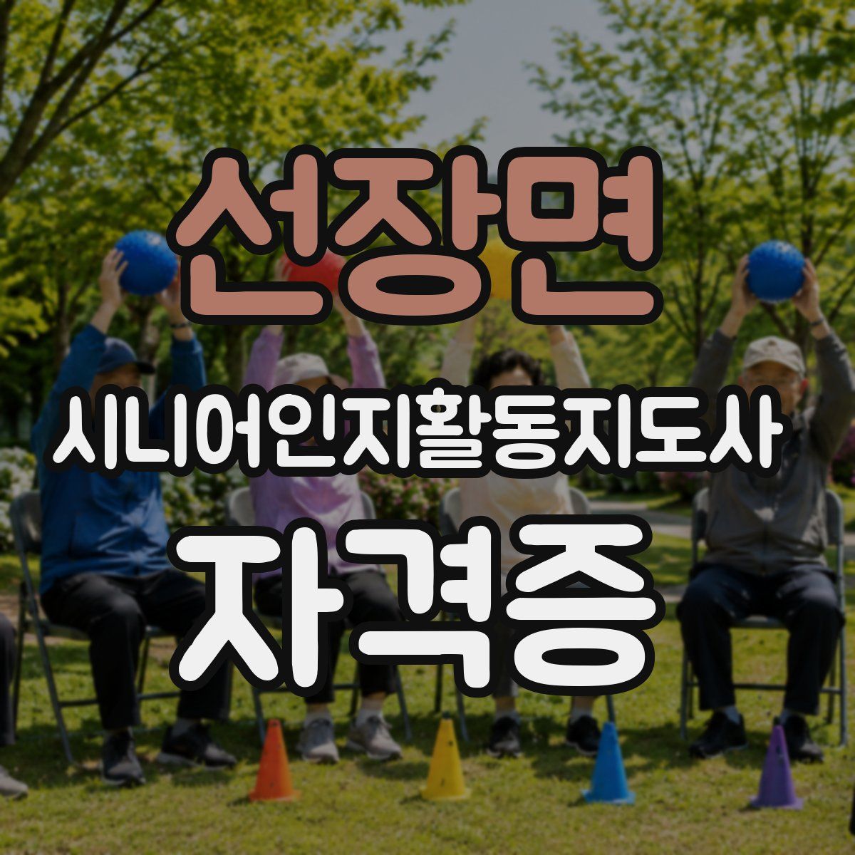 선장면 시니어인지활동지도사 자격증