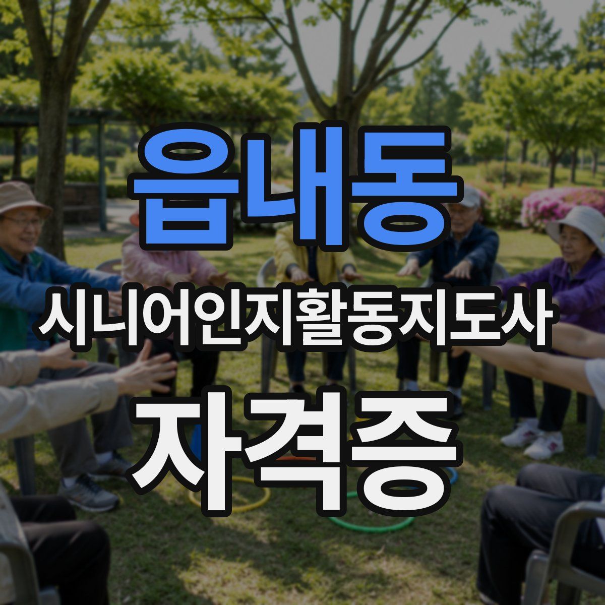 읍내동 시니어인지활동지도사 자격증