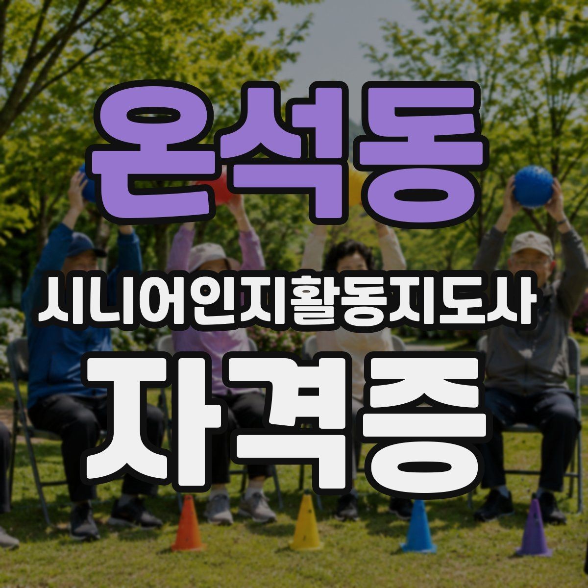 온석동 시니어인지활동지도사 자격증 시험 준비용 핵심 정리표