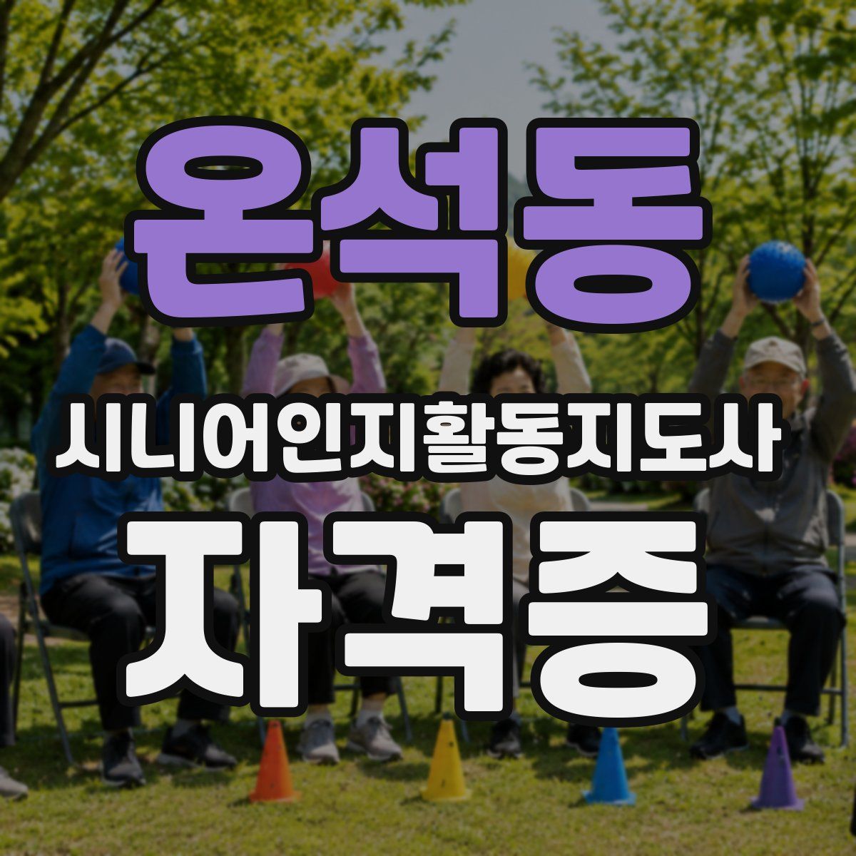 온석동 시니어인지활동지도사 자격증