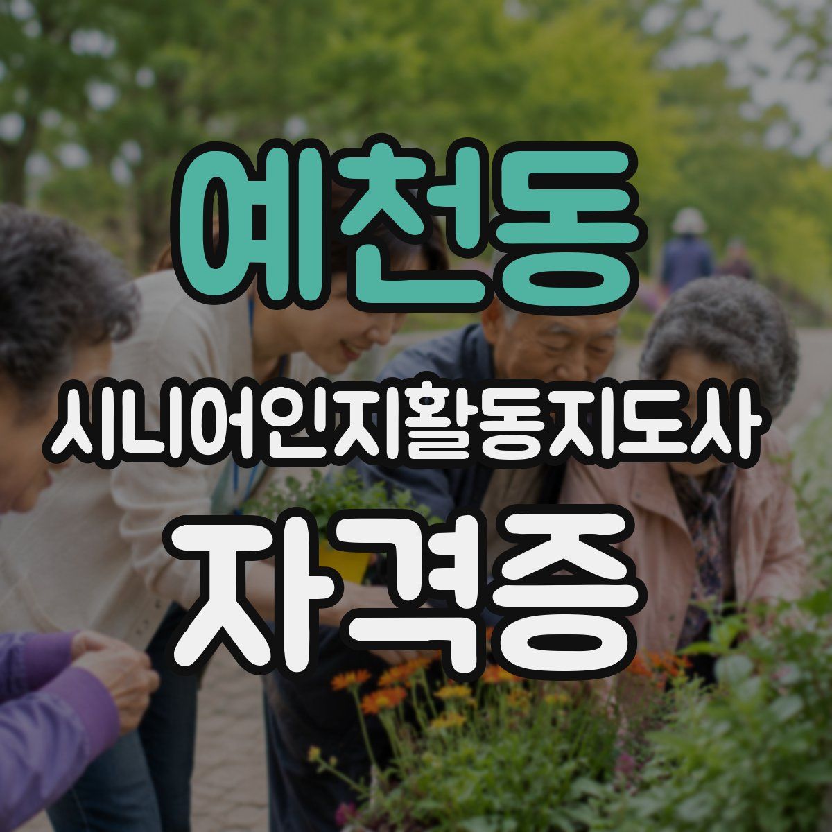 예천동 시니어인지활동지도사 자격증