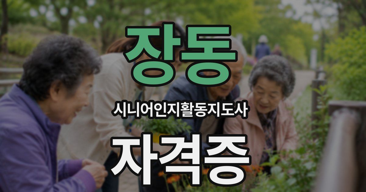장동 시니어인지활동지도사 자격증