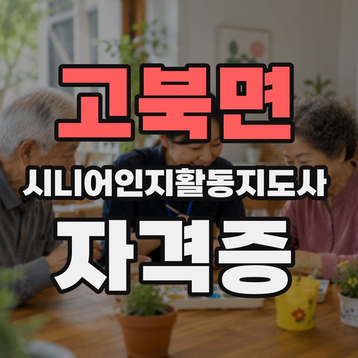 고북면 시니어인지활동지도사 자격증