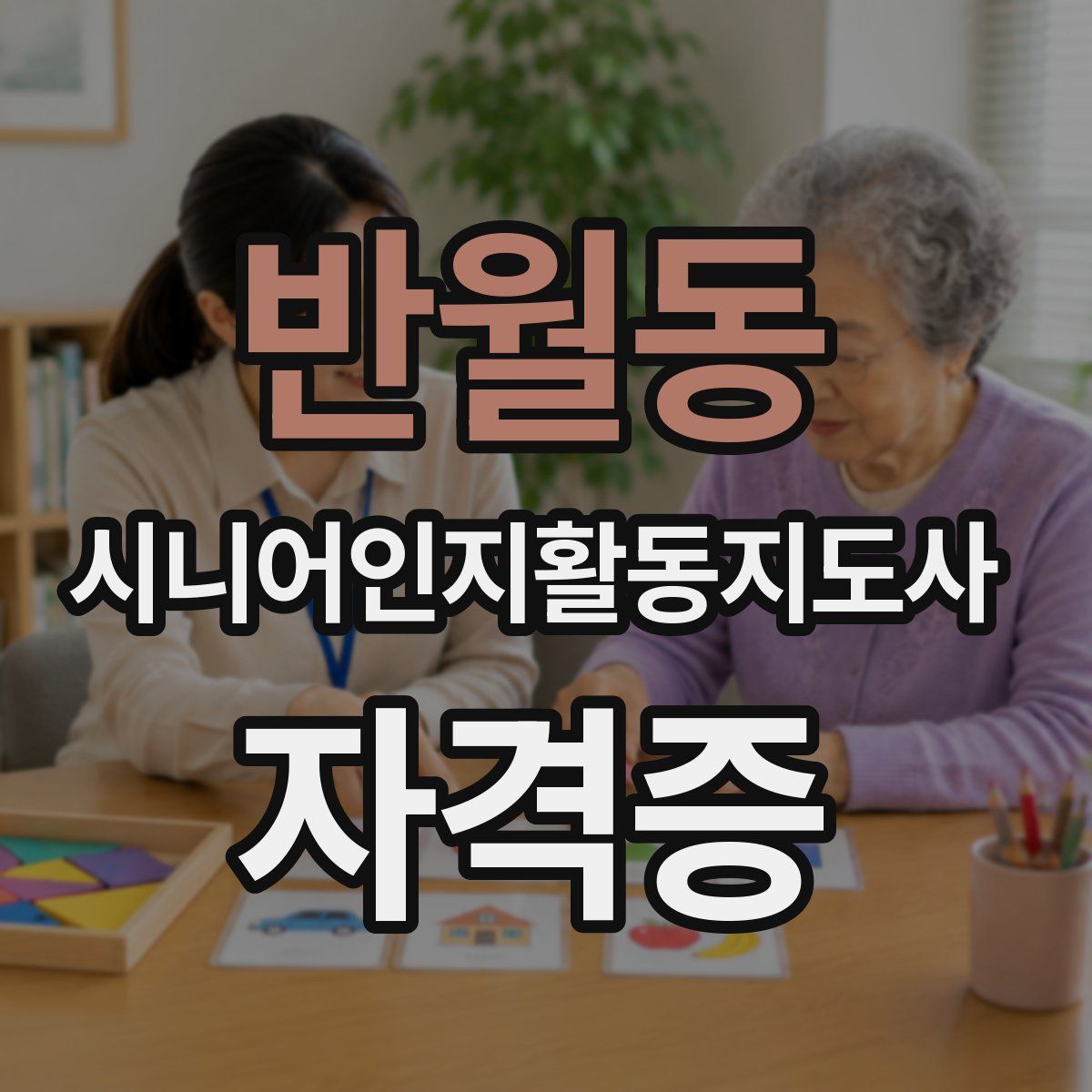 반월동 시니어인지활동지도사 자격증