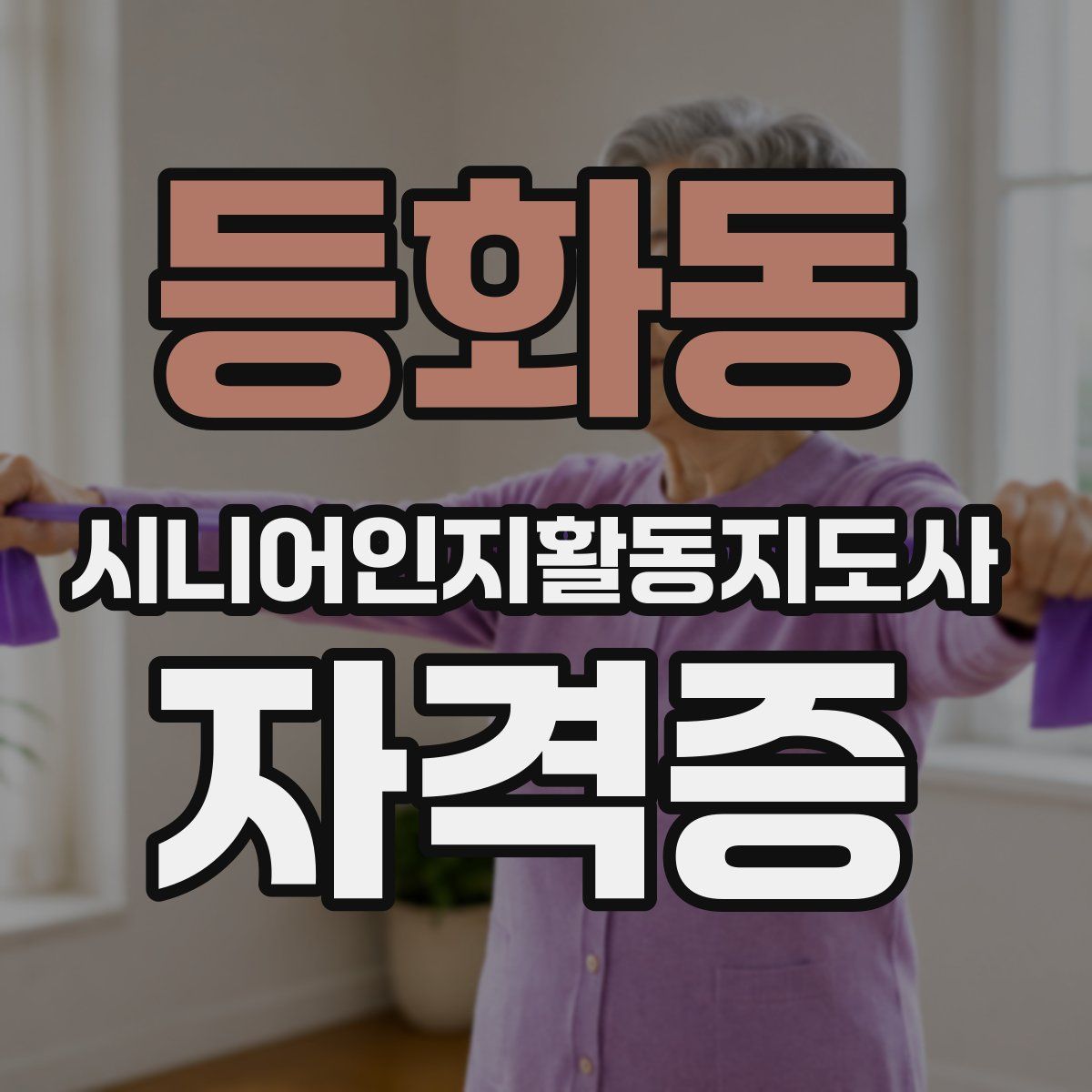 등화동 시니어인지활동지도사 자격증