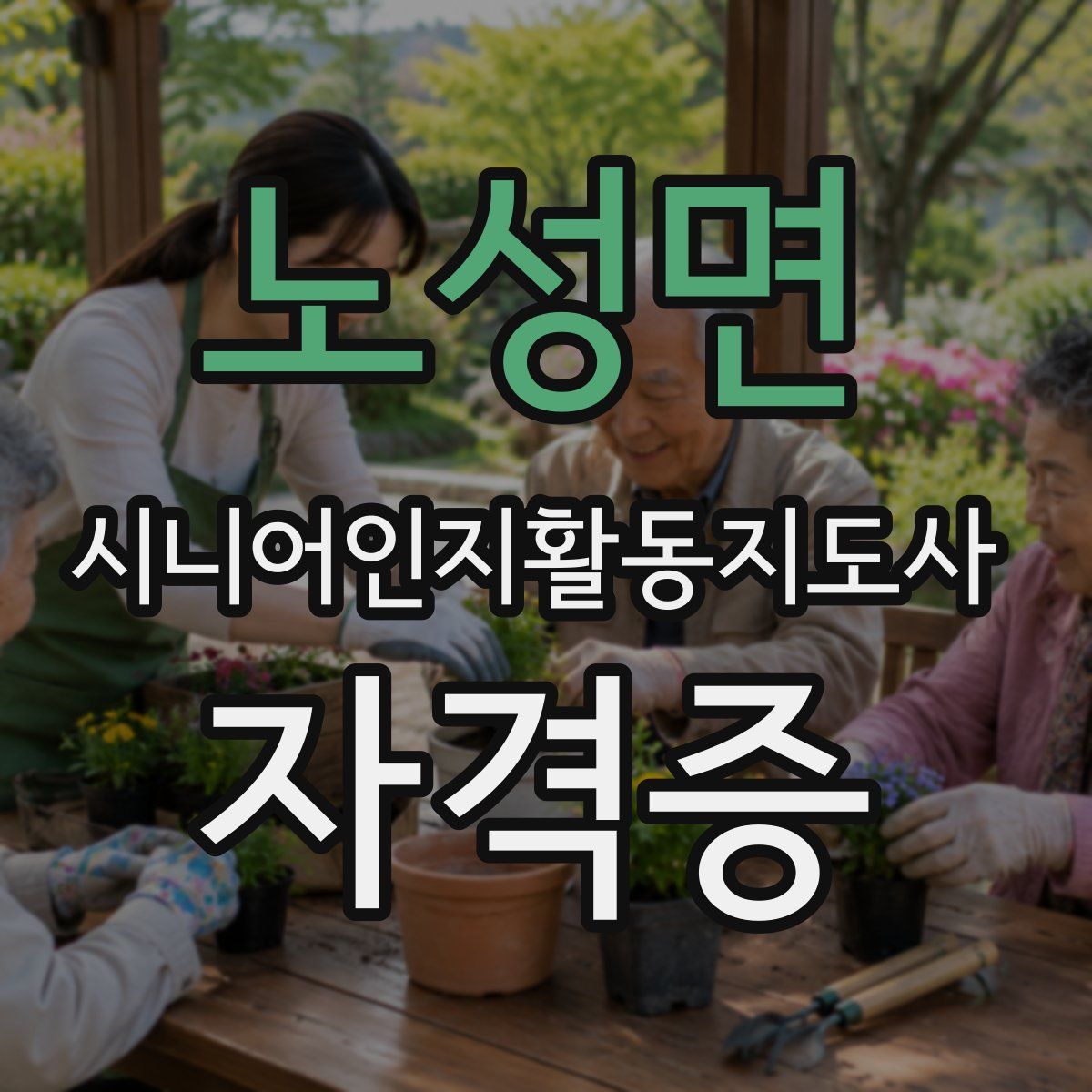 노성면 시니어인지활동지도사 자격증