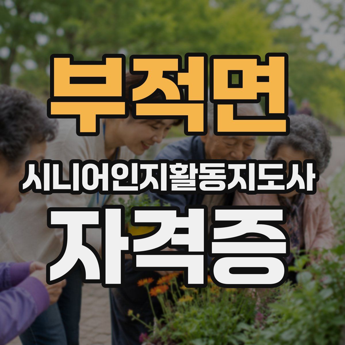 부적면 시니어인지활동지도사 자격증
