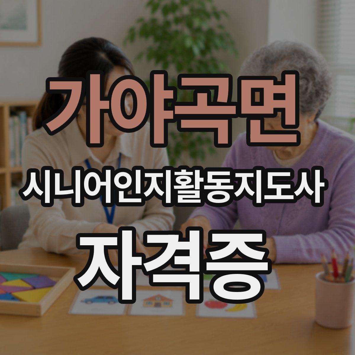 가야곡면 시니어인지활동지도사 자격증