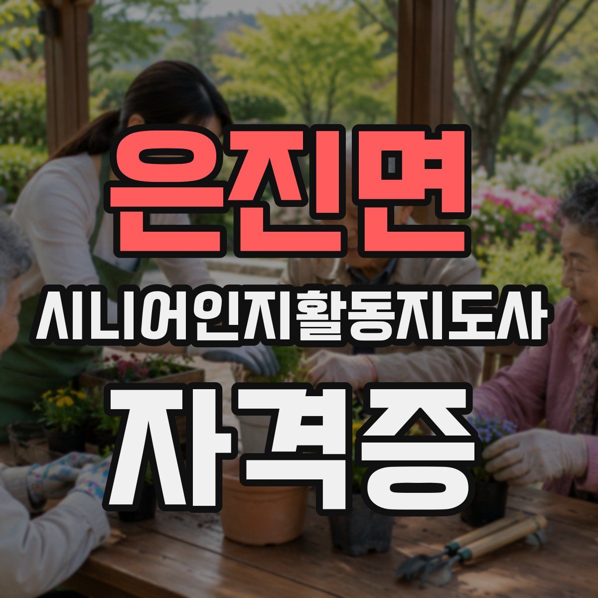 은진면 시니어인지활동지도사 자격증