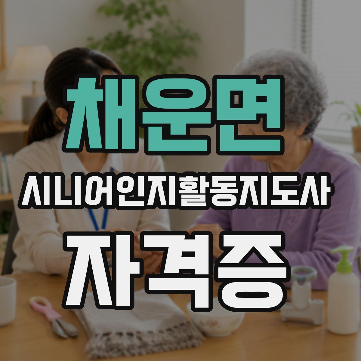 채운면 시니어인지활동지도사 자격증