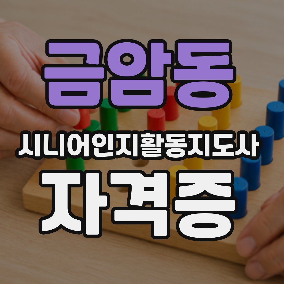 금암동 시니어인지활동지도사 자격증