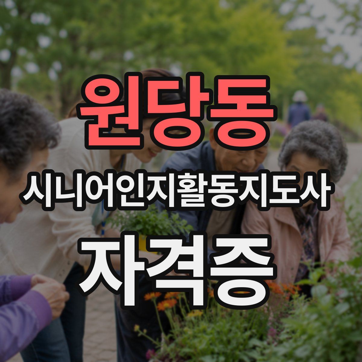 원당동 시니어인지활동지도사 자격증