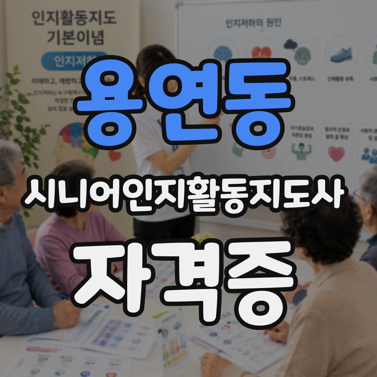 용연동 시니어인지활동지도사 자격증