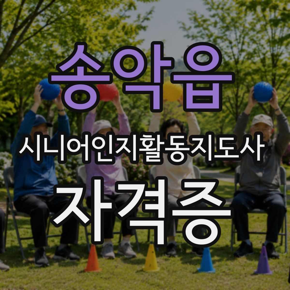송악읍 시니어인지활동지도사 자격증