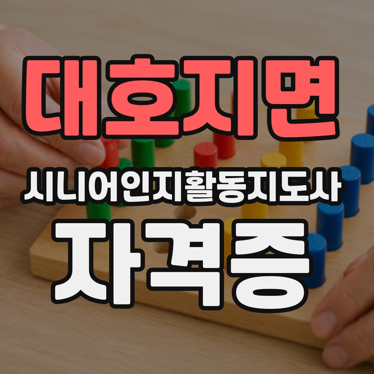 대호지면 시니어인지활동지도사 자격증