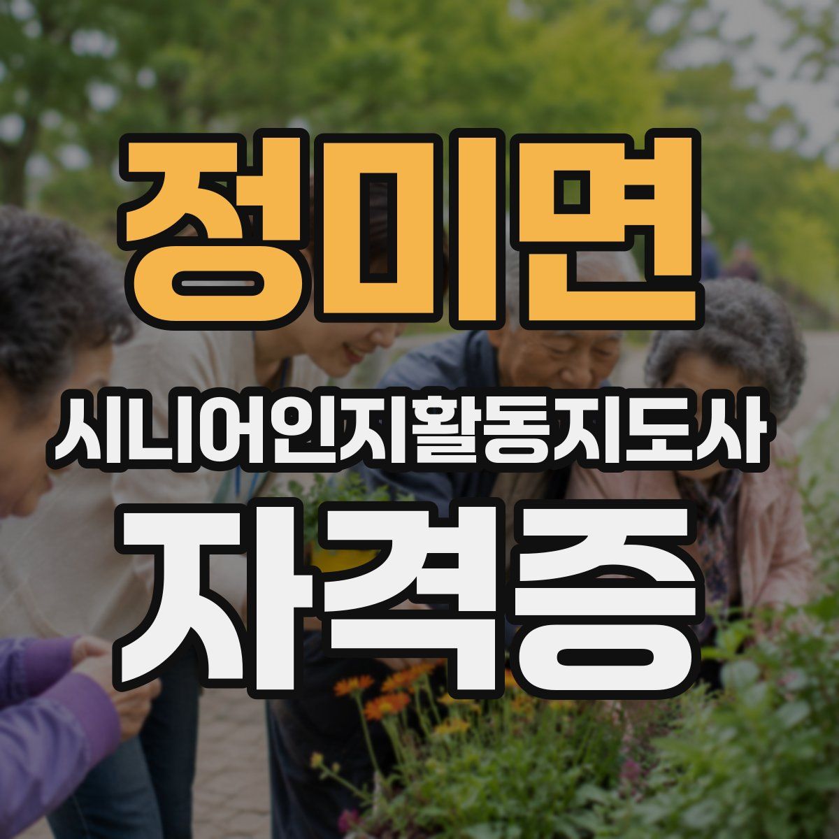 정미면 시니어인지활동지도사 자격증