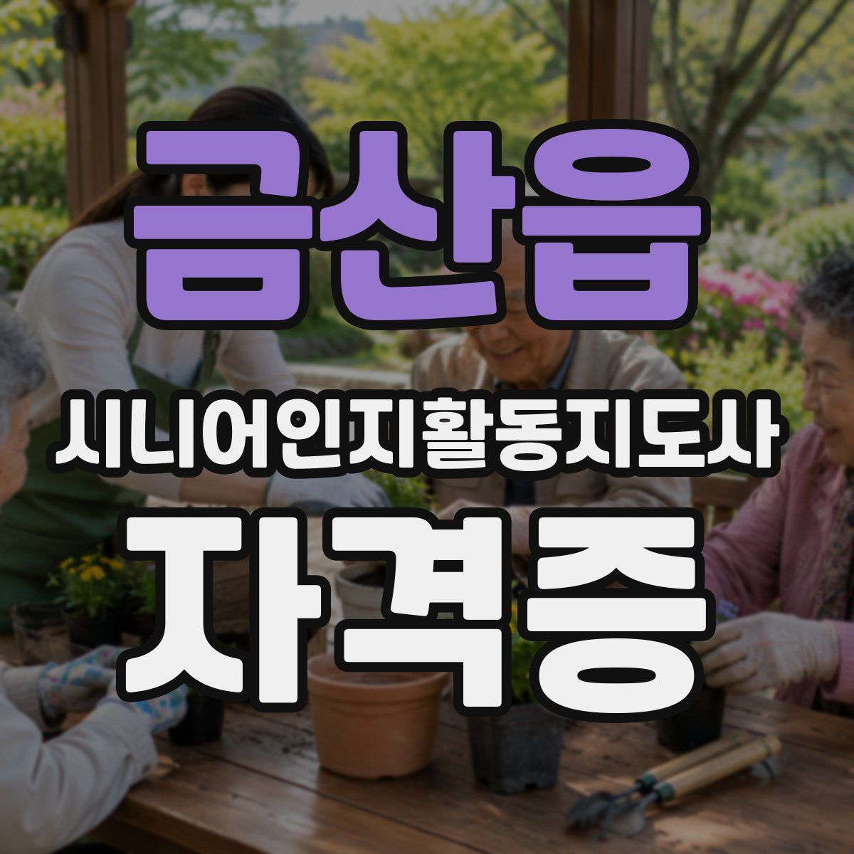 금산읍 시니어인지활동지도사 자격증