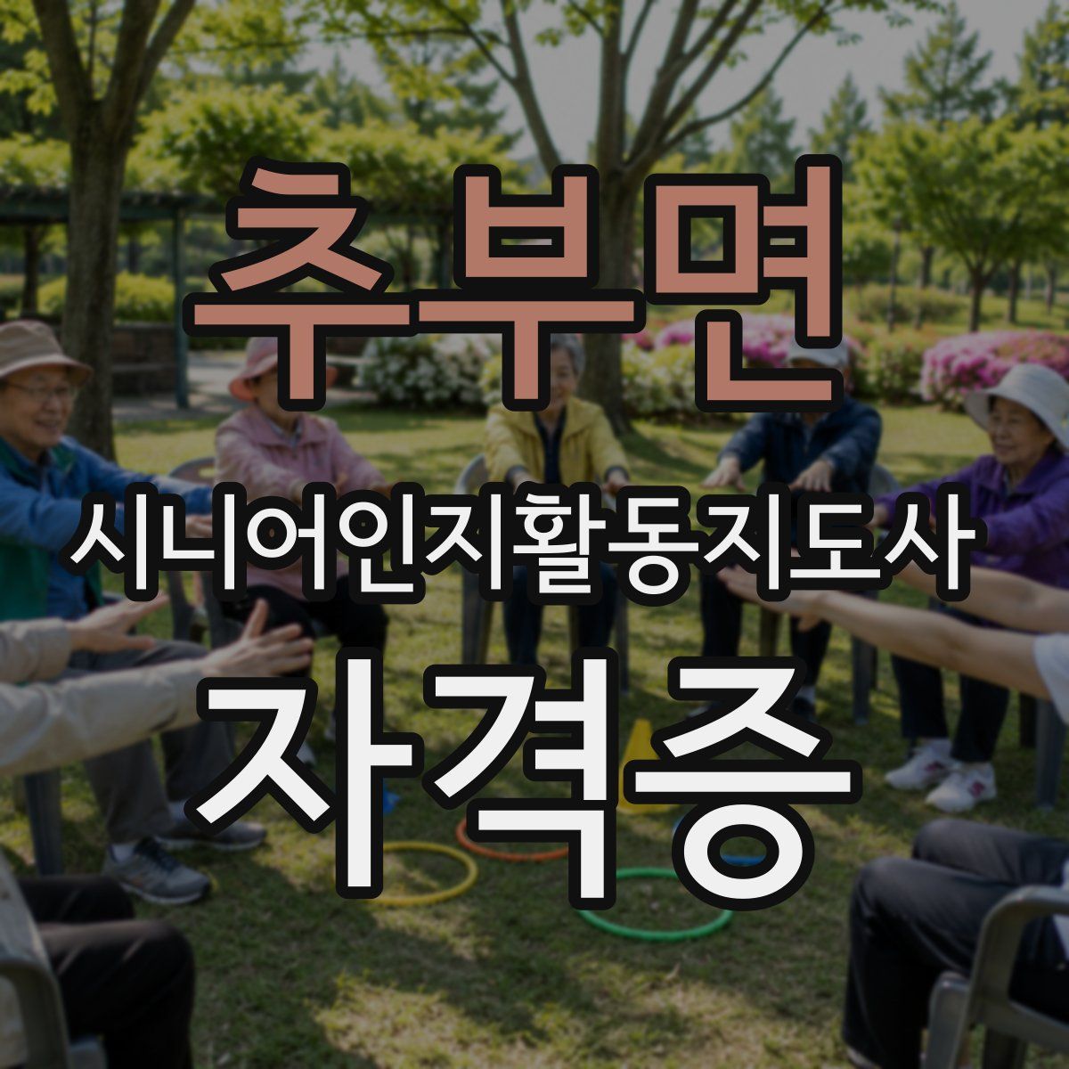 추부면 시니어인지활동지도사 자격증