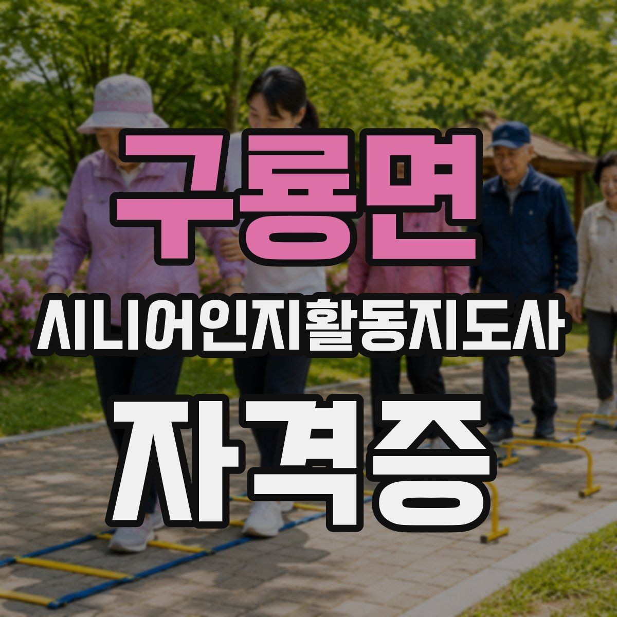 구룡면 시니어인지활동지도사 자격증 관련 기관 정보 확인하는 법