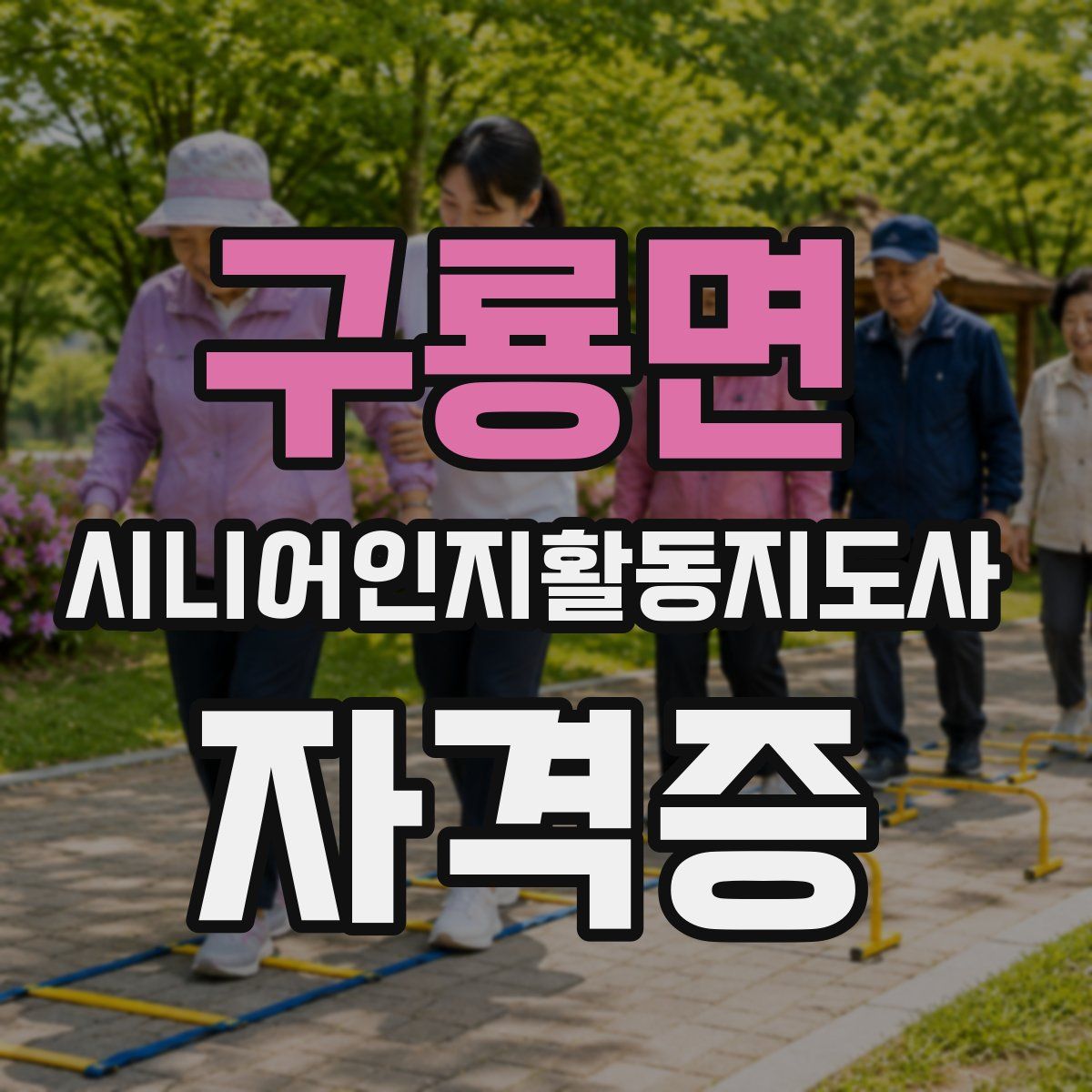 구룡면 시니어인지활동지도사 자격증
