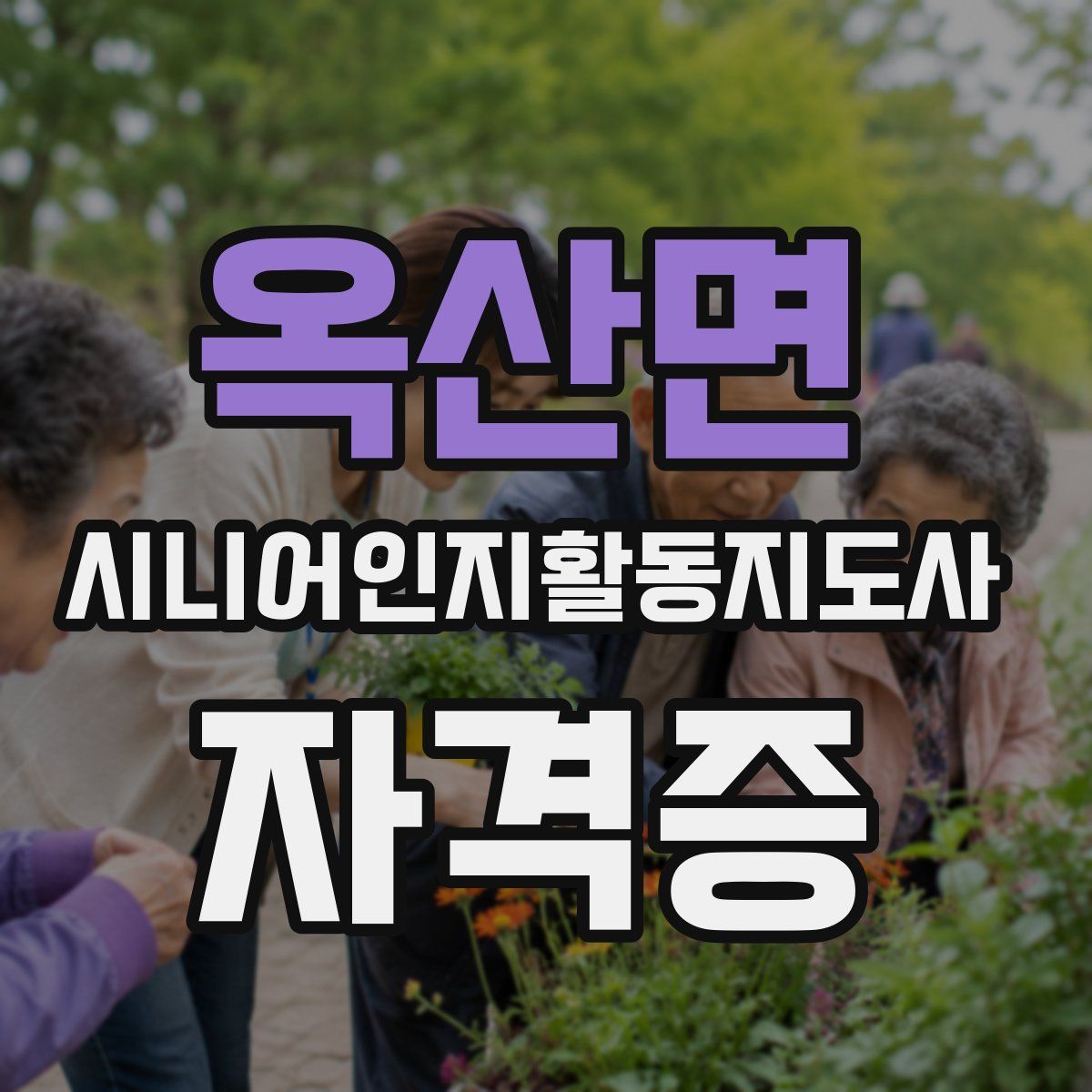 옥산면 시니어인지활동지도사 자격증